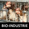 symbool bioindustrie kippen