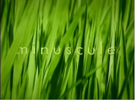 minuscule