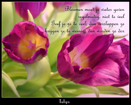 gedicht - Sylvia