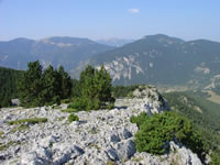 Coll del Verdet