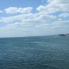 DSCF0730.JPG