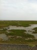 oerol-2012-244