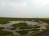 oerol-2012-245