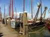 De haven