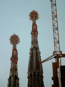 SIMG1490